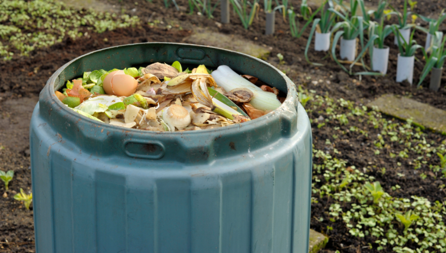 Saving the Environment with Composting