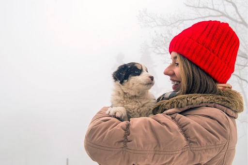 10 ways to keep your small pets snug and warm in winter. – Excel