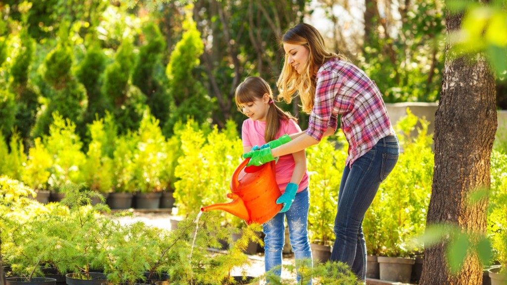 How To Water Your Garden With A Hose