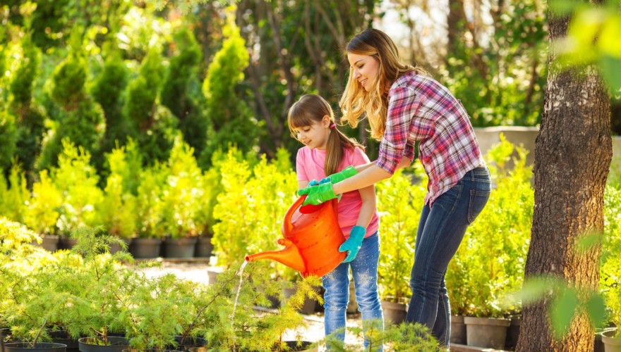 How to Water Your Garden Without a Hose