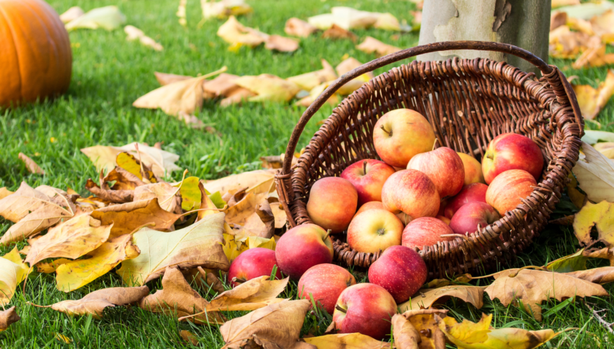 National Apple Month